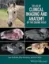 Picture of Book Atlas of Clinical Imaging and Anatomy of the Equine Head