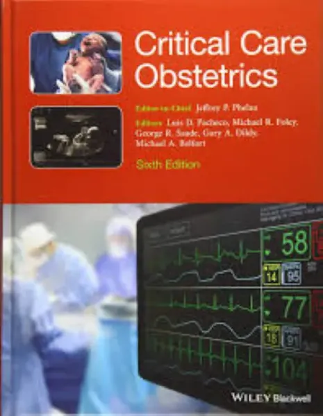 Imagem de Critical Care Obstetrics