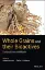 Imagem de Whole Grains and their Bioactives: Composition and Health