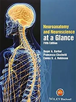 Imagem de Neuroanatomy and Neuroscience at a Glance