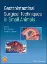 Imagem de Gastrointestinal Surgical Techniques in Small Animals