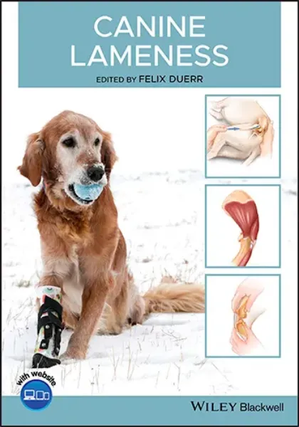Imagem de Canine Lameness