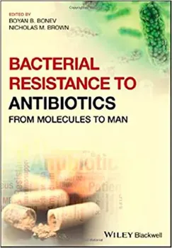 Imagem de Bacterial Resistance to Antibiotics: From Molecules to Man
