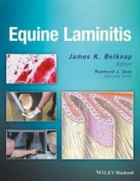 Picture of Book Equine Laminitis