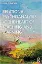 Picture of Book Relational Psychoanalysis at the Heart of Teaching and Learning: How and Why it Matters
