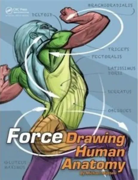 Imagem de Force: Drawing Human Anatomy
