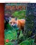 Imagem de Biology - 6th Edition