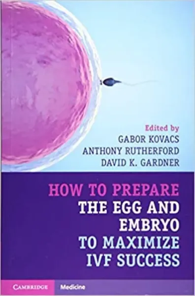 Imagem de How to Prepare the Egg and Embryo to Maximize IVF Success