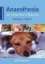 Imagem de Anaesthesia for Veterinary Nurses