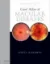 Imagem de Gass' Atlas of Macular Diseases