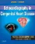 Picture of Book Echocardiography In Congenital Heart Disease