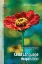 Picture of Book Understanding Child Language Aquisition