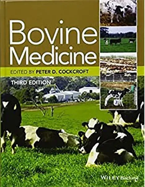 Imagem de Bovine Medicine