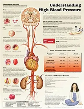 Imagem de Understanding High Blood Pressure