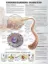 Picture of Book Understanding Diabetes Anatomical Chart