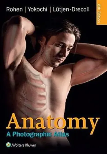 Imagem de Colour Atlas of Anatomy