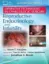 Picture of Book Operative Techniques in Gynecologic Surgery: Reproductive, Endocrinology and Infertility