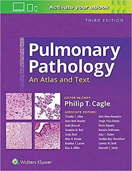 Picture of Book Pulmonary Pathology: An Atlas and Text