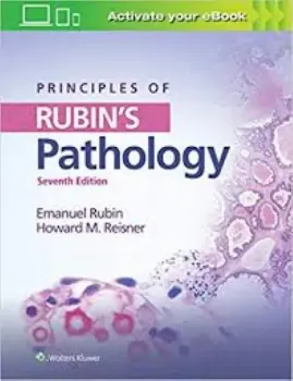 Imagem de Principles of Rubin's Pathology
