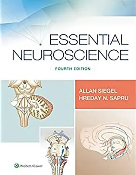 Imagem de Essential Neuroscience