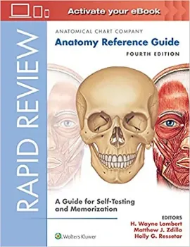 Picture of Book Rapid Review: Anatomy Reference Guide: A Guide for Self-Testing and Memorization
