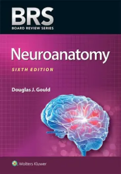 Picture of Book BRS Neuroanatomy