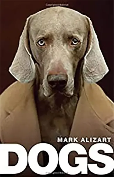 Imagem de Dogs: A Philosophical Guide to Our Best Friends