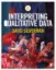 Picture of Book Interpreting Qualitative Data