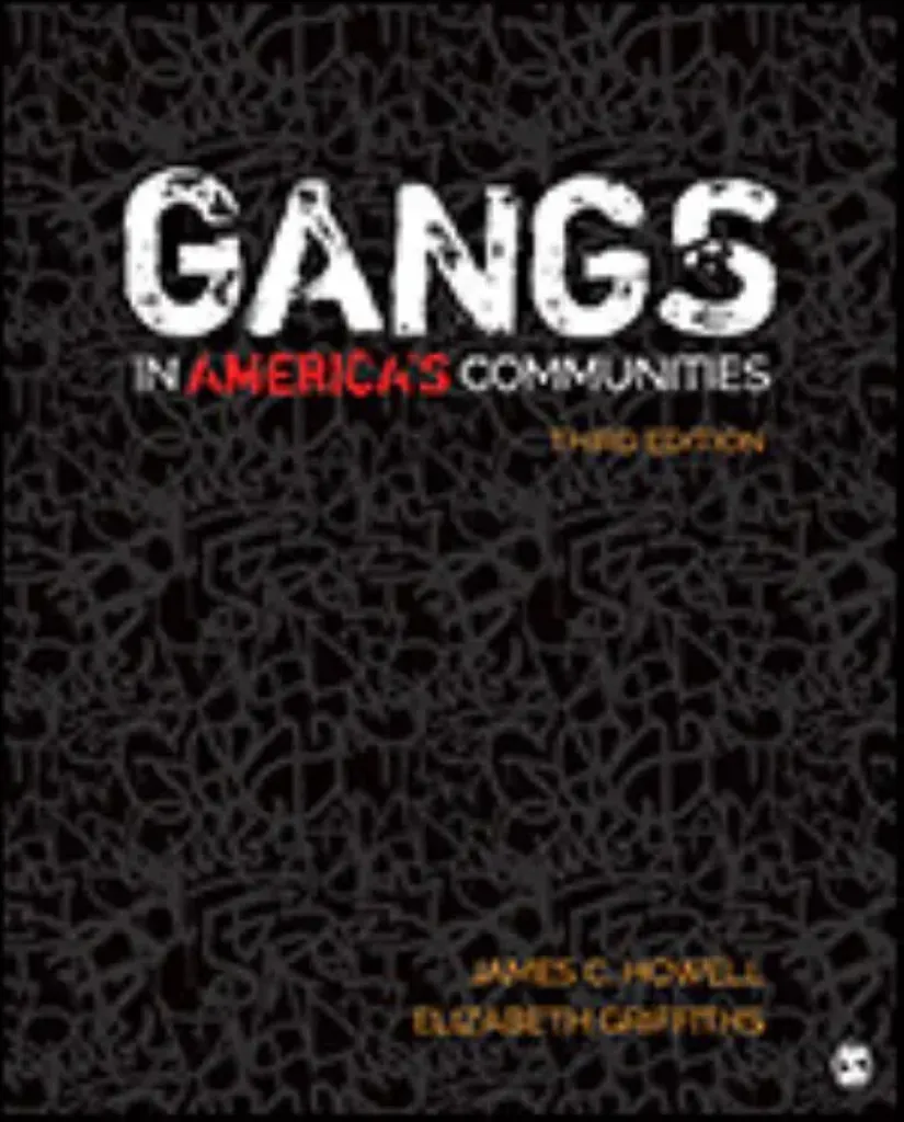Imagem de Gangs in America's Communities