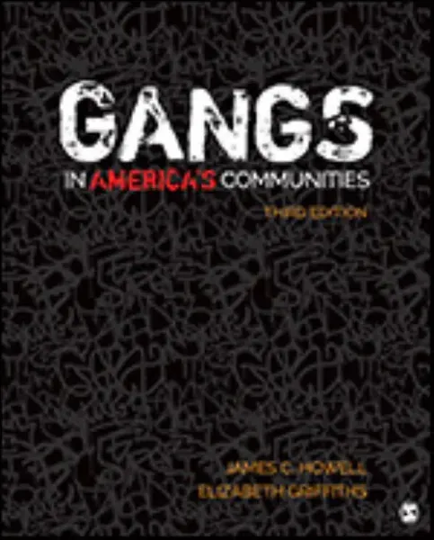 Imagem de Gangs in America's Communities