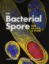 Imagem de The Bacterial Spore: From Molecules to Systems