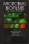 Imagem de Microbial Biofilms