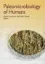 Imagem de Paleomicrobiology of Humans