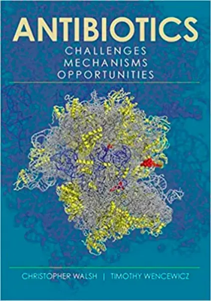 Imagem de Antibiotics: Challenges, Mechanisms, Opportunities