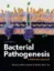 Imagem de Bacterial Pathogenesis: A Molecular Approach