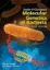 Imagem de Snyder and Champness Molecular Genetics of Bacteria