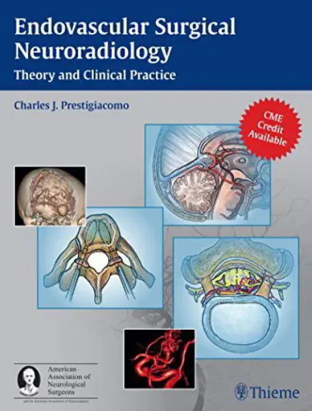 Imagem de Endovascular Surgical Neuroradiology