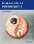 Imagem de Controversies in Neurosurgery II