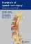 Imagem de Essentials of Spinal Cord Injury