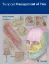 Imagem de Surgical Management of Pain