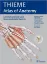 Imagem de Thieme Atlas of Anatomy General Anatomy And Musculoskeletal System
