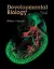 Imagem de Developmental Biology
