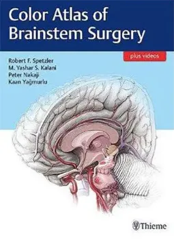 Imagem de Color Atlas of Brainstem Surgery