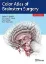 Picture of Book Color Atlas of Brainstem Surgery