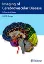 Imagem de Imaging of Cerebrovascular Disease: A Practical Guide