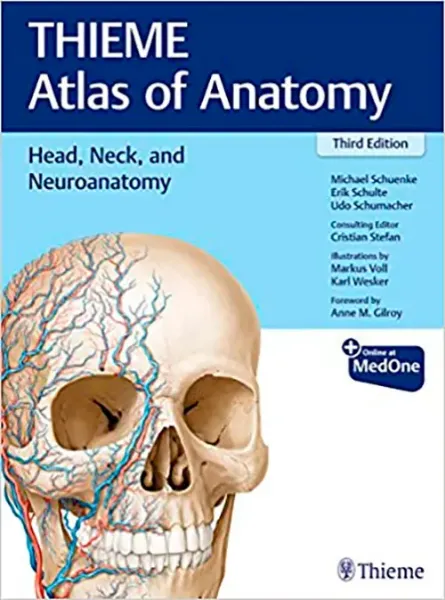 Imagem de Head, Neck, and Neuroanatomy (THIEME Atlas of Anatomy)