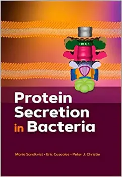 Picture of Book Protein Secretion in Bacteria