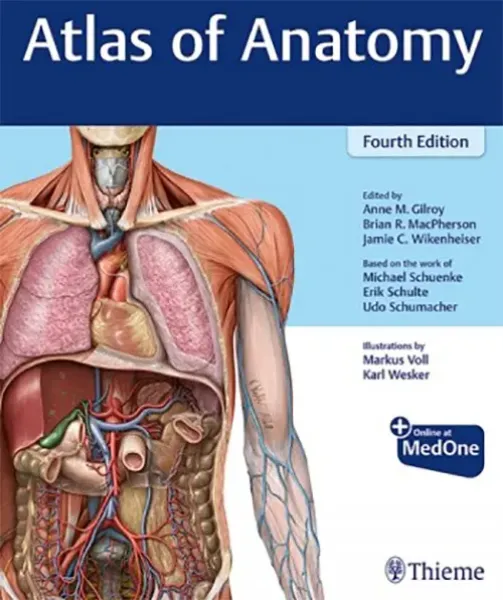 Imagem de Atlas Anatomy