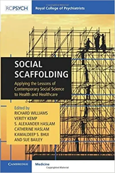 Imagem de Social Scaffolding: Applying the Lessons of Contemporary Social Science to Health and Healthcare