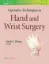 Imagem de Operative Techniques in Hand and Wrist Surgery
